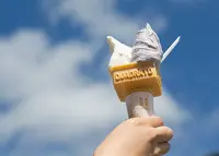 道の駅 美山ふれあい広場の写真・動画_image_509563