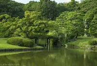 六義園の写真・動画_image_145862