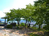 王子山公園の写真・動画_image_89852