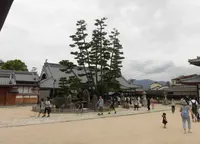 大願寺の写真・動画_image_260619