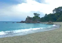 桂浜の写真・動画_image_247880