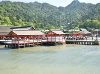 宮島町の写真・動画_image_178150