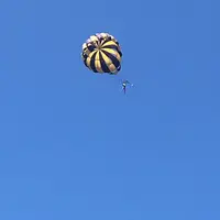 Wibisana Marine Adventuresの写真・動画_image_198297