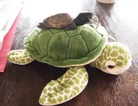 シギラベイサイドスイート アラマンダの写真・動画_image_52864