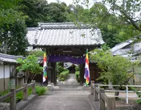 大雲禅寺の写真・動画_image_181412