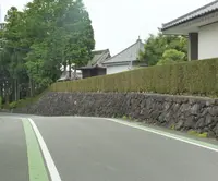 実相寺の写真・動画_image_85581