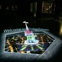 東京タワーの写真・動画_image_114181