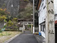 この辺り寺社仏閣が多いの写真・動画_image_28133