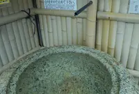 白菊水の写真・動画_image_83395