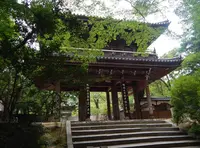 功山寺の写真・動画_image_89611