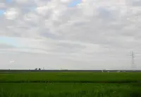 安八町ひまわり畑の写真・動画_image_22233