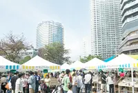 太陽のマルシェの写真・動画_image_195827