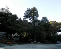 駒込富士神社の写真・動画_image_101284