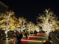 恵比寿ガーデンプレイスの写真・動画_image_206947