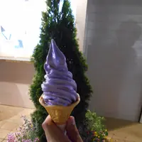 あしかがフラワーパークの写真・動画_image_136960