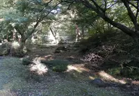 六義園の写真・動画_image_50815