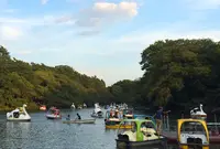 井の頭恩賜公園の写真・動画_image_67491