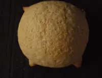 ティーズ ベーカリー （T'S Bakery） の写真・動画_image_71671