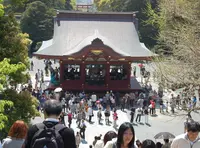 鶴岡八幡宮の写真・動画_image_24585