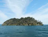 竹生島の写真・動画_image_133868