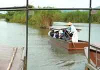 水郷のさとまるやまの写真・動画_image_146244