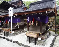 下鴨神社（賀茂御祖神社）の写真・動画_image_76548
