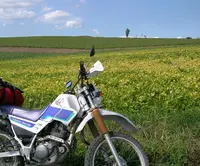 パッチワークの路の写真・動画_image_36398