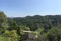 吉野山の写真_30212