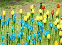 安曇野アートヒルズミュージアムの写真・動画_image_285987