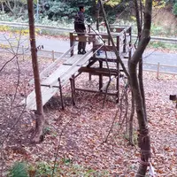 Akiha里山子育て支援センター 森のいえの写真・動画_image_24158