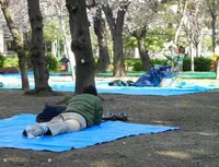 桜の名所の写真・動画_image_32650