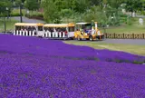 サッポロさとらんど