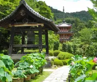 三室戸寺の写真・動画_image_27375