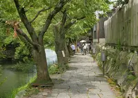 八幡川緑地の写真・動画_image_146253