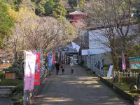 岐阜公園の写真・動画_image_27021