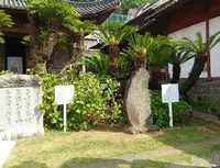 興福寺の写真・動画_image_92148