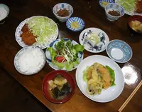 ノルテポトシの写真・動画_image_83483