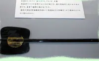 松芋神社の写真・動画_image_147668
