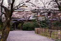 円山公園の写真・動画_image_24489