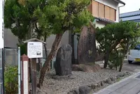 三条大橋の写真・動画_image_67164