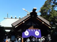 東京大神宮の写真・動画_image_166159