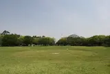 夢の島公園