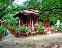 談山神社の写真・動画_image_76856