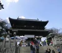 琴平山の写真・動画_image_189320