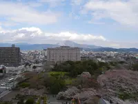 長浜城歴史博物館の写真・動画_image_128531