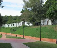 通霄神社の写真・動画_image_562096