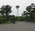 五稜郭タワーの写真_631029