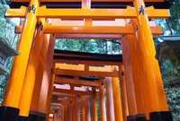 伏見稲荷大社の写真・動画_image_1265570