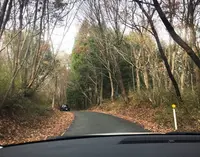 国見台みかん園の写真・動画_image_106473