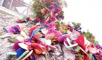  Lover’s Cape（恋人岬）の写真・動画_image_138293